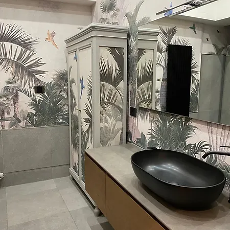 Domus Scudo Di Francia * Werona